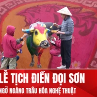 Trâu Việt Nam hóa tác phẩm nghệ thuật tại Lễ hội Tịch điền Ninh Bình 