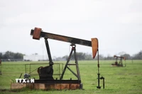 Tháp khoan dầu tại Luling, Texas, Mỹ. (Ảnh: THX/TTXVN)