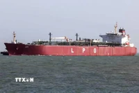 Tàu chở dầu khí tự nhiên hóa lỏng di chuyển qua eo biển Hormuz về tới cảng Mundra ở Kutch, Ấn Độ ngày 16/3/2026. (Ảnh: ANI/TTXVN)