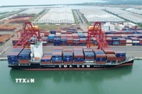 Tàu container tại Cảng quốc tế Chu Lai. (Ảnh: Quốc Khánh/TTXVN)