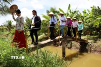 Du lịch sinh thái mang đặc trưng miệt vườn ở cù lao Bảo, tỉnh Bến Tre. (Ảnh: Hồng Đạt/TTXVN)