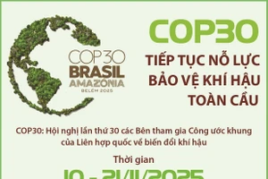 COP30 tiếp tục nỗ lực bảo vệ khí hậu toàn cầu