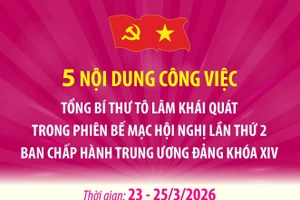 Năm nội dung công việc Tổng Bí thư khái quát trong phiên bế mạc Hội nghị Trung ương 2 khóa XIV