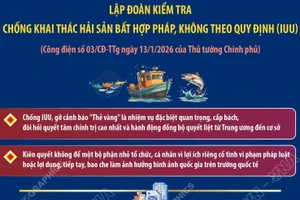 Thủ tướng chỉ đạo lập đoàn kiểm tra chống khai thác IUU
