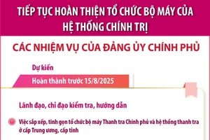 Tiếp tục hoàn thiện tổ chức bộ máy: Các nhiệm vụ của Đảng ủy Chính phủ