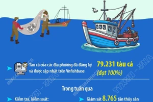 'Xử lý đủ mạnh, đủ sức răn đe và xử lý dứt điểm tình trạng khai thác IUU'