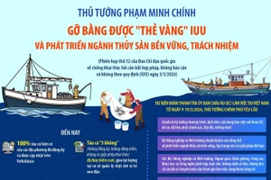 Gỡ bằng được "thẻ vàng" IUU và phát triển ngành thủy sản bền vững, trách nhiệm
