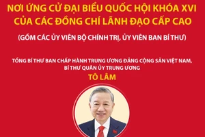 Các đồng chí lãnh đạo cấp cao ứng cử đại biểu Quốc hội khóa XVI