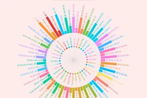 Đơn vị bầu cử và đại biểu HĐND cấp tỉnh, thành phố nhiệm kỳ 2026-2031