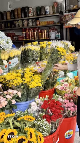 Gắn với Rằm tháng Bảy, mùa Vu lan cũng là dịp để mỗi người con tưởng nhớ tới ông bà, tổ tiên, cha mẹ đã khuất và ai còn cha mẹ thì hướng lòng về cha mẹ đang hiện hữu bên mình. (Ảnh: Hương Giang/TTXVN)