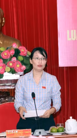 Bà Trần Thị Diệu Thúy, Phó Trưởng Đoàn đại biểu Quốc hội Thành phố Hồ Chí Minh, chủ trì Hội nghị. (Ảnh: Xuân Khu/TTXVN)