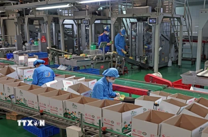 Công ty TNHH Long Hải, Cụm công nghiệp 1, phường Thạch Khôi, thành phố Hải Phòng, mỗi năm sản xuất hàng trăm tấn sản phẩm tiêu thụ trong nước và xuất khẩu. (Ảnh: Trần Việt/TTXVN)