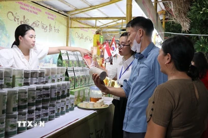 Giới thiệu sản phẩm OCOP tại hội chợ. (Ảnh: Mạnh Minh/TTXVN)