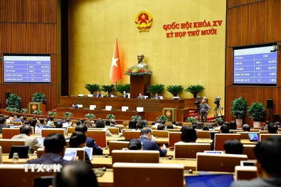 Quốc hội biểu quyết thông qua Luật sửa đổi, bổ sung một số điều của Luật Tiếp công dân, Luật Khiếu nại, Luật Tố cáo. (Ảnh: Doãn Tấn/ TTXVN)