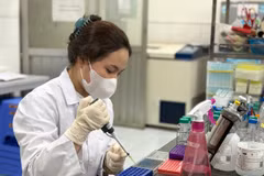 Học viên Nguyễn Nhật Ly thực hiện thí nghiệm tại Trường Đại học Khoa học Tự nhiên. (Ảnh: Phạm Mai/Vietnam+)