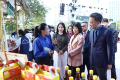 Triển lãm sẽ diễn ra từ ngày 26/12 đến ngày 28/12, quy tụ các sản phẩm tiêu biểu của thanh niên nông thôn cả nước. (Ảnh: PV/Vietnam+)