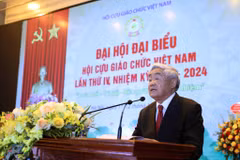 Giáo sư Phạm Minh Hạc phát biểu tại đại hội Cựu giáo chức Việt Nam lần thứ IV. (Ảnh: Thanh Tùng/TTXVN)