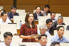 Đại biểu Đoàn Thị Lê An. (Ảnh: Doãn Tấn/TTXVN)