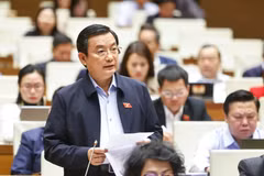 Đại biểu Phạm Trọng Nhân phát biểu. (Ảnh: Doãn Tấn/TTXVN)