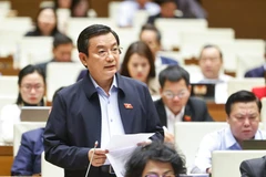 Đại biểu Phạm Trọng Nhân phát biểu. (Ảnh: Doãn Tấn/TTXVN)