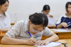 Thí sinh Hà Nội dự thi môn Ngữ văn. (Ảnh: Thanh Tùng/TTXVN)