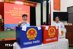 Cử tri Thành phố Hồ Chí Minh bỏ phiếu bầu đại biểu Quốc hội và Hội đồng Nhân dân các cấp. (Ảnh: TTXVN)