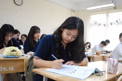 (Ảnh minh họa: PV/Vietnam+)