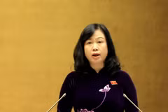 Bộ trưởng Bộ Y tế Đào Hồng Lan trình bày tờ trình về dự thảo Luật Dân số. (Ảnh: Tuấn Anh/TTXVN)