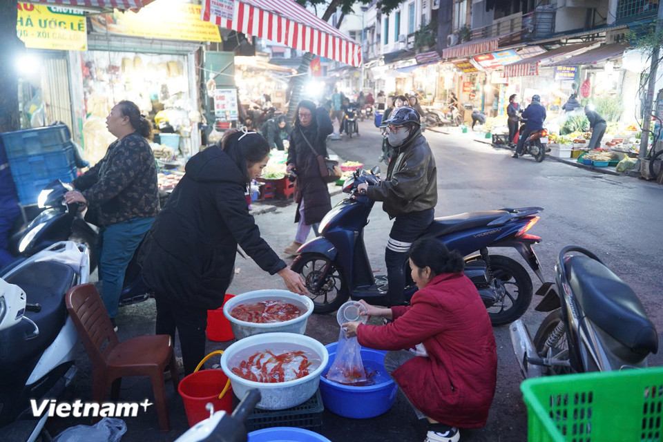 Lễ cúng ông Công ông Táo của người Việt mang ý nghĩa tiễn đưa trang trọng, thể hiện mong muốn một năm mới bình an, gia đạo êm ấm, làm ăn thuận lợi. (Ảnh: Hoài Nam/Vietnam+)