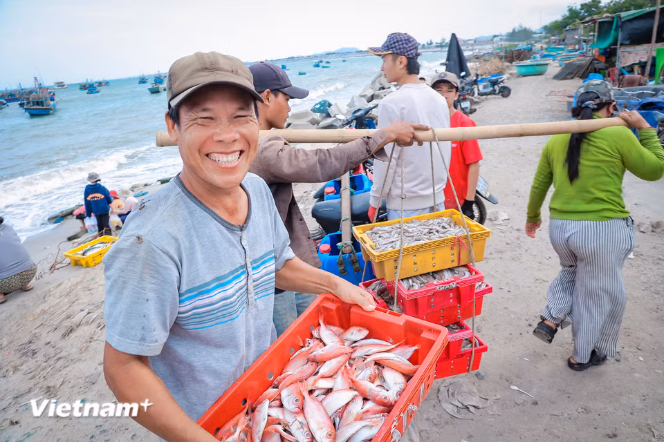 Thương lái và ngư dân trao đổi với nhau bằng những lời xởi lởi, nụ cười hiền hậu. Đứng trước bãi cá Vĩnh Tân, người ta dễ dàng cảm nhận được sự gắn kết bền chặt giữa con người và đại dương. (Ảnh: Hoài Nam/Vietnam+)