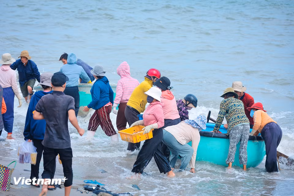 Từng chiếc thuyền thúng, thuyền gỗ cập bờ trong niềm hân hoan của người dân làng chài. (Ảnh: Hoài Nam/Vietnam+)