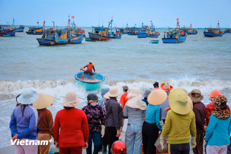 Bãi cá Vĩnh Tân nằm dọc theo dải ven biển huyện Tuy Phong, giáp ranh giữa tỉnh Bình Thuận và Ninh Thuận cũ nay thuộc xã Vĩnh Hảo tỉnh Lâm Đồng. (Ảnh: Hoài Nam/Vietnam+)