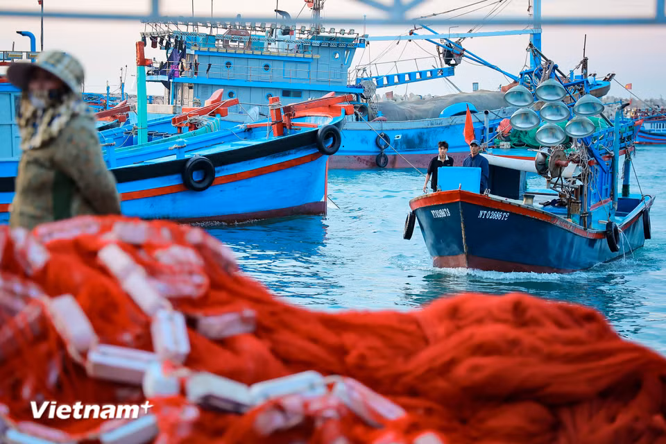 Những con tàu dập dìu nối đuôi nhau cập bờ sau chuỗi ngày dài vươn khơi bám biển. (Ảnh: Hoài Nam/Vietnam+)