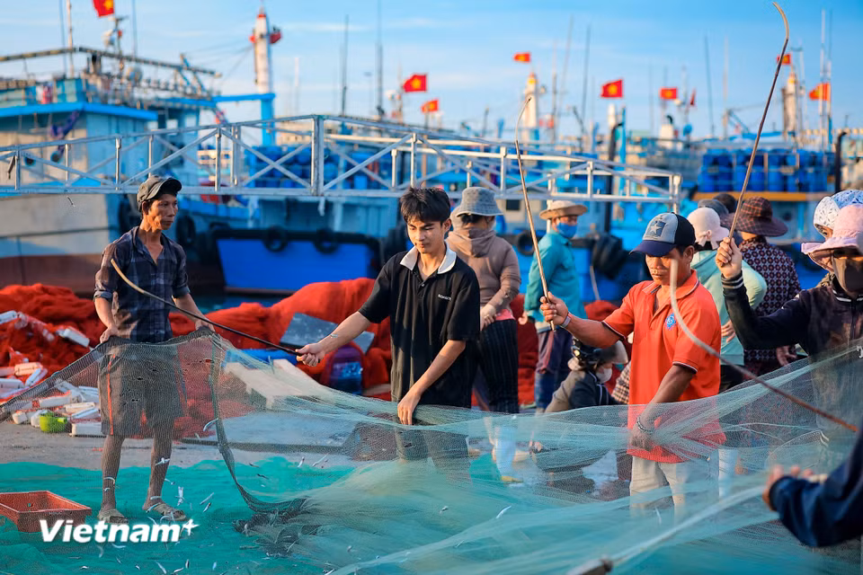 Những năm gần đây, nhờ sự quan tâm đầu tư hạ tầng, luồng lạch được nạo vét, cầu cảng được nâng cấp giúp tàu thuyền có công suất lớn ra vào neo đậu an toàn, đặc biệt là trong mùa mưa bão. (Ảnh: Hoài Nam/Vietnam+)