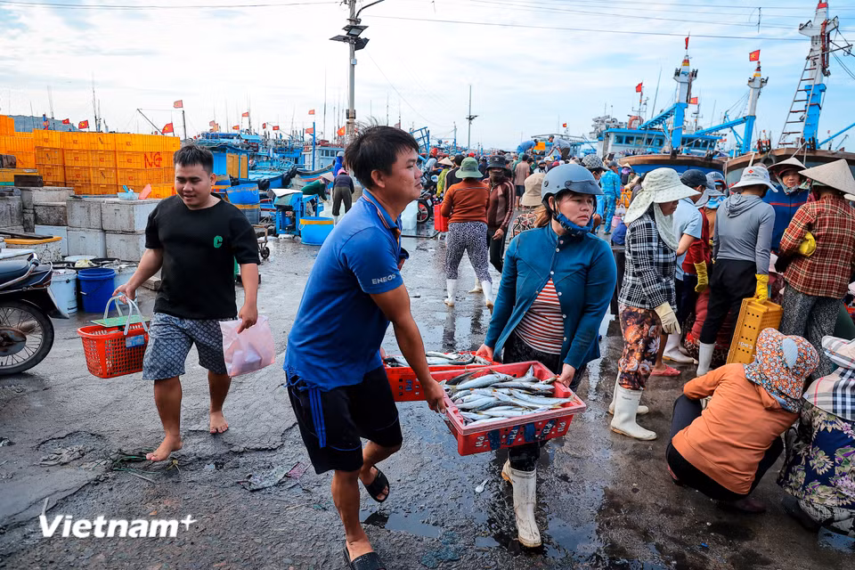 Nằm cách trung tâm thành phố Phan Rang - Tháp Chàm không xa, cảng cá Mỹ Tân không chỉ là trung tâm nghề cá quan trọng của tỉnh Ninh Thuận cũ nay là Khánh Hòa, mà còn là một bức tranh cuộc sống sống động, mang đậm hơi thở của biển cả quê hương. (Ảnh: Hoài Nam/Vietnam+)