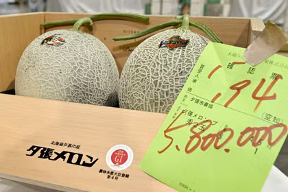 Cặp dưa lưới thượng hạng được bán với giá kỷ lục 5,8 triệu yen. (Nguồn: Kyodo)