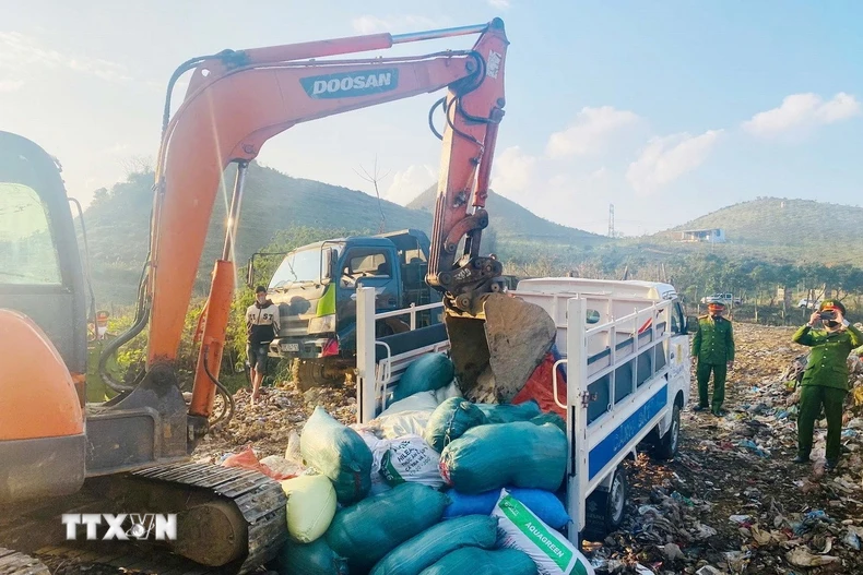 Lực lượng chức năng tiến hành tiêu hủy số nội tạng động vật không rõ nguồn gốc, xuất xứ. (Ảnh: TTXVN phát)