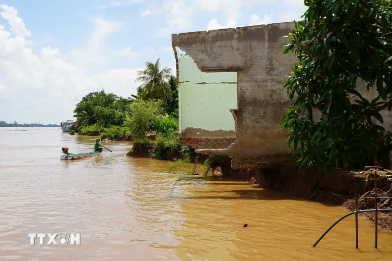 Nhiều căn nhà của người dân ở ấp Tân Quới, xã Tân Long (Đồng Tháp) bị sạt lở xuống sông Tiền. (Ảnh: Nhựt An/TTXVN)