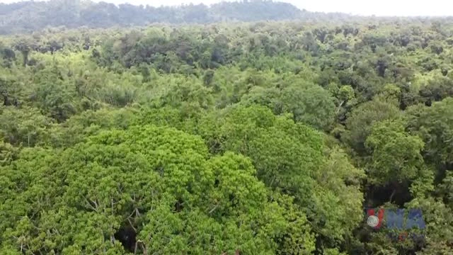 Vườn Quốc gia Cát Tiên được Mạng lưới Du lịch Sinh thái Châu Á vinh danh 