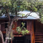 Những ngôi nhà sàn ở bản Pom Coọng thường được làm bằng tre hoặc bương và cách mặt đất khoảng 2m bằng những cột gỗ chắc chắn, xây thành từng cụm và theo lối kiểu kiến trúc truyền thống. (Ảnh: Trọng Đạt/TTXVN)