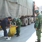 Ảnh minh họa. (Ảnh: Quang Duy/TTXVN)