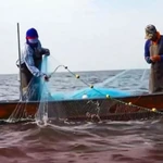 Ảnh minh họa: (Nguồn Smni News Channel)