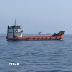 Tàu thương mại chờ đi qua eo biển Hormuz. (Ảnh: THX/TTXVN phát)