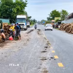 Bùn đất rơi vãi trên lề và mặt đường trong quá trình bốc dỡ, vận chuyển gỗ, làm tăng nguy cơ mất an toàn giao thông trên Quốc lộ 22B. (Ảnh: Minh Phú/TTXVN)
