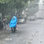 Ảnh minh họa. (Ảnh: TTXVN phát)