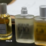 Các mẫu nước hoa giả các nhãn hiệu nổi tiếng do được cơ quan Công an thu giữ tại cơ sở của vợ chồng L.V.H và V.T.T. (Ảnh: TTXVN phát)