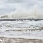 (Ảnh minh họa. TTXVN phát)