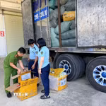 Lực lượng chức năng kiểm đếm hàng hoà nghi giả mạo nhãn hiệu thời trang nổi tiếng. (Ảnh: TTXVN phát)