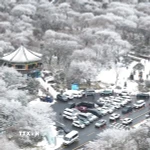 Tuyết phủ trắng xóa tại Jeju, Hàn Quốc. (Ảnh: Yonhap/TTXVN)