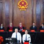 Quang cảnh phiên tòa. (Ảnh: Linh Sơn/TTXVN)